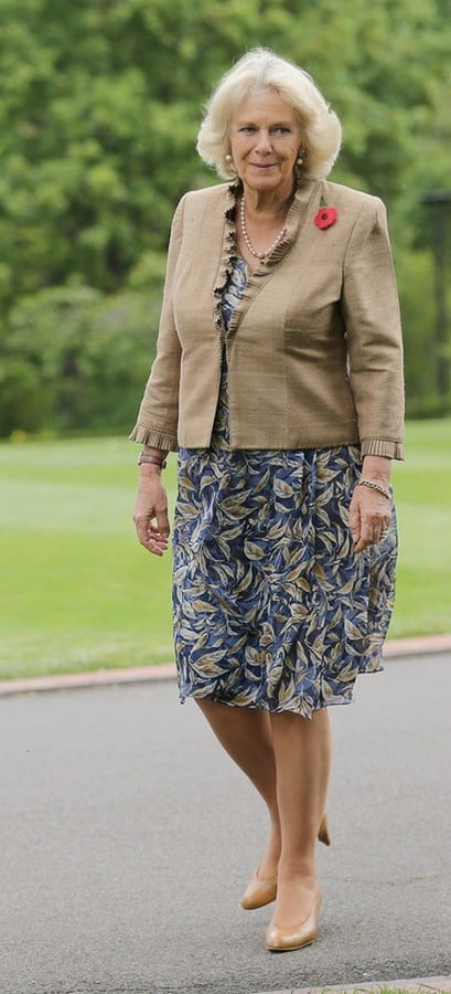 Collant royal de grand-mère - camilla duchesse de Cornouailles
 #89912806