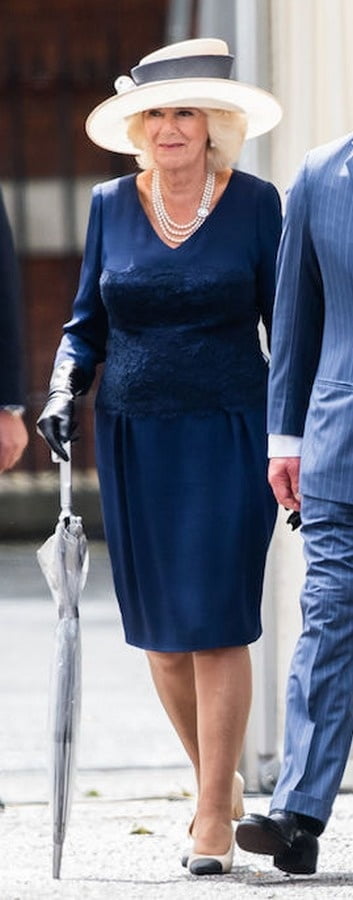 Collant della nonna reale - camilla duchessa di Cornovaglia
 #89912810