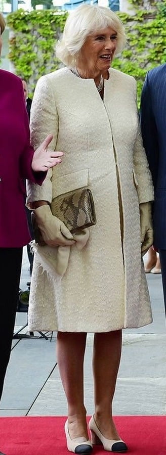 Collant royal de grand-mère - camilla duchesse de Cornouailles
 #89912831
