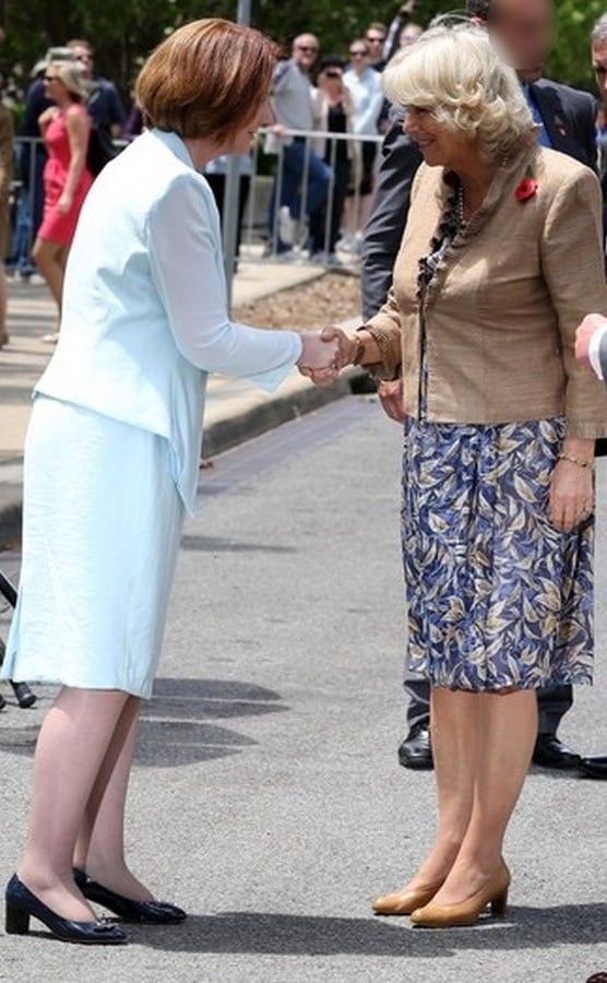 Collant della nonna reale - camilla duchessa di Cornovaglia
 #89912841