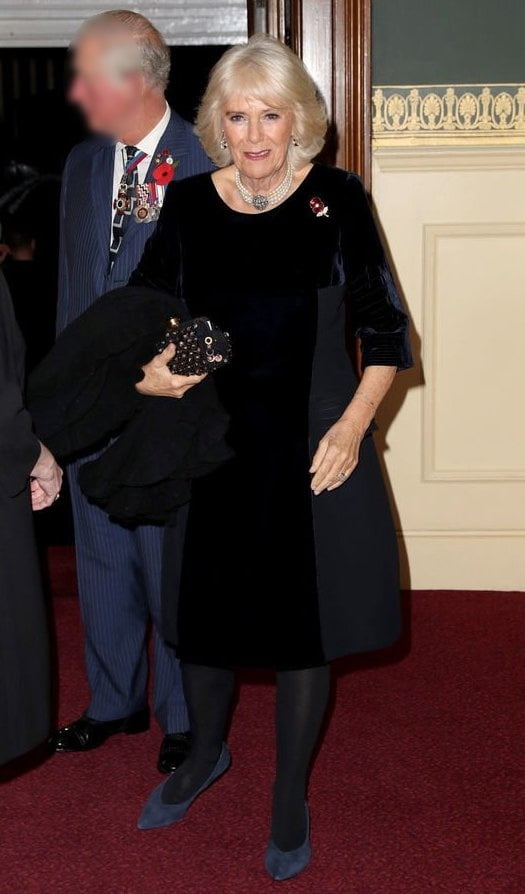 Collant royal de grand-mère - camilla duchesse de Cornouailles
 #89912851
