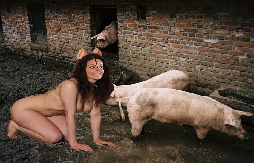 PIG PLAY #96373312