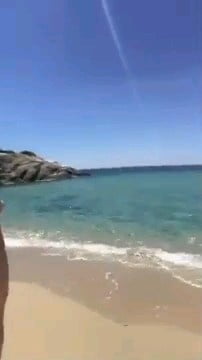 From dark web Friends from satu mare ro 2019 #104907096