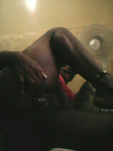 Png's finest 8 (público)
 #100912728