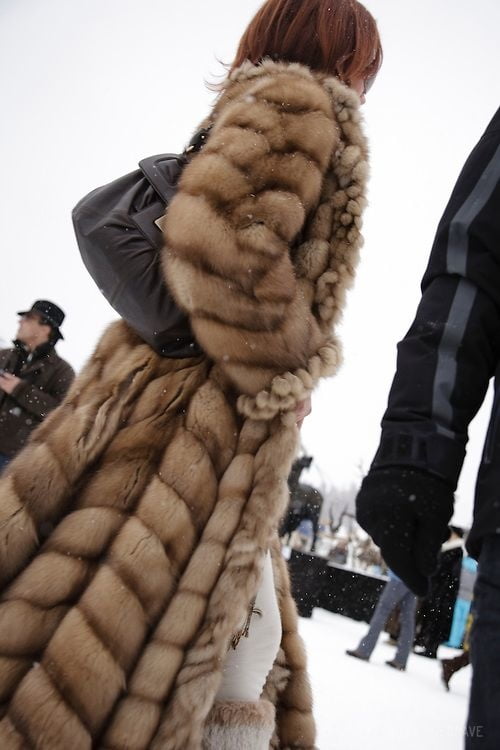 woman in fur coat 22 #101782838