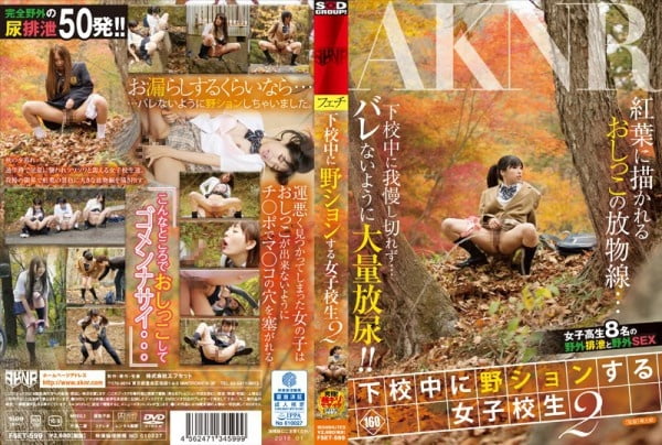 Japanese DVD Cover 91 #93924265