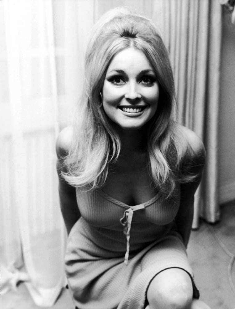 Tette delle celebrità - sharon tate
 #81549666