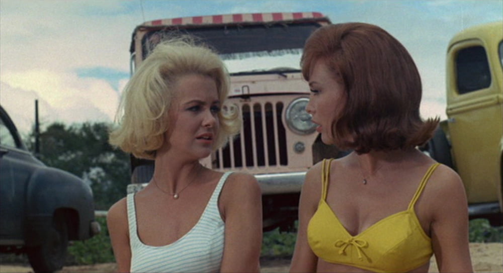 Celebrity boobs - shelley fabares
 #102271012