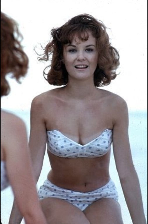 Celebrity boobs - shelley fabares
 #102271050