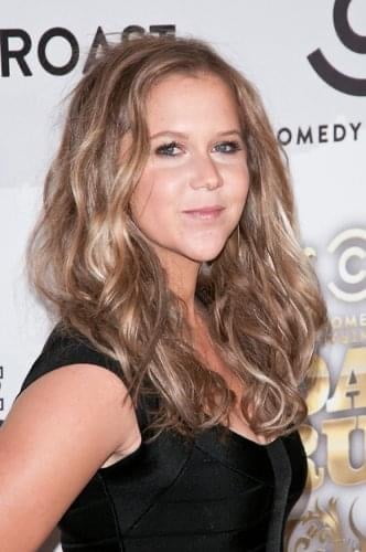 I would fuck Amy Schumer #88106305