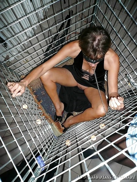 Slaves and Sluts Waiting to be sold 9 #92231006