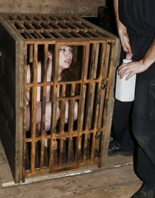 Slaves and Sluts Waiting to be sold 9 #92231150