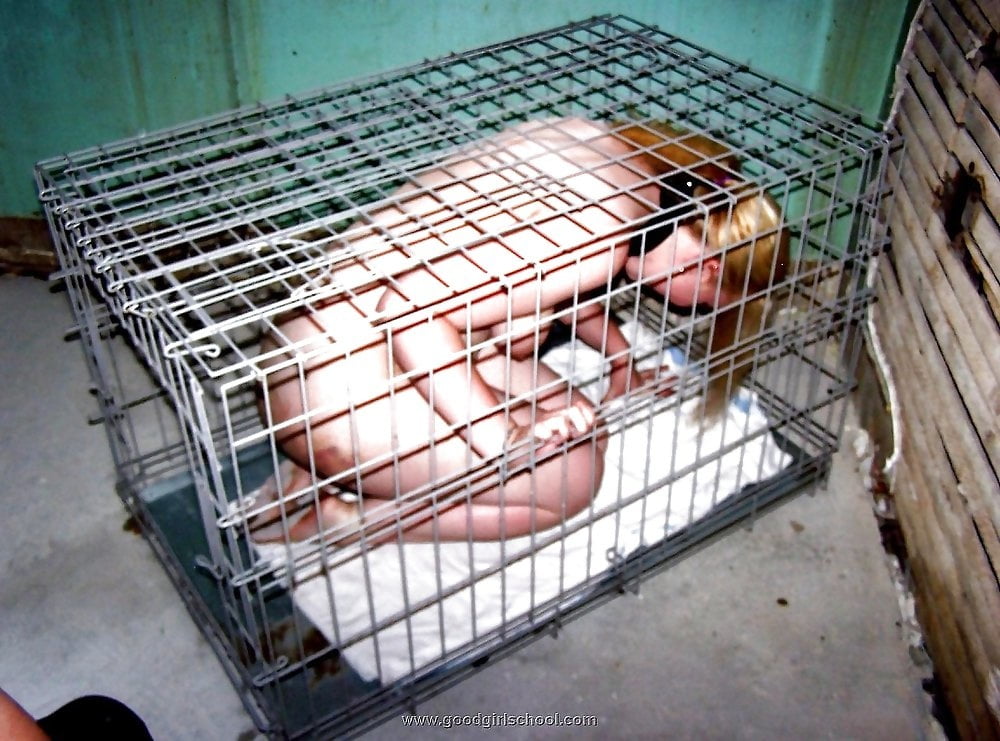Slaves and Sluts Waiting to be sold 9 #92231233