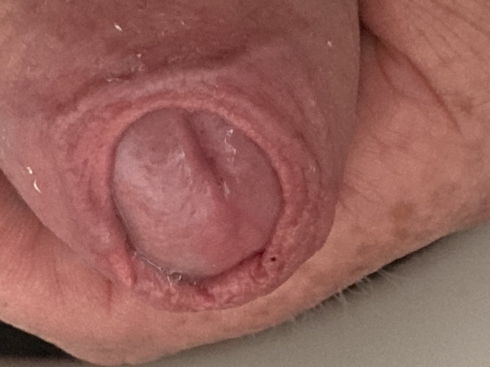 My cock #81265250