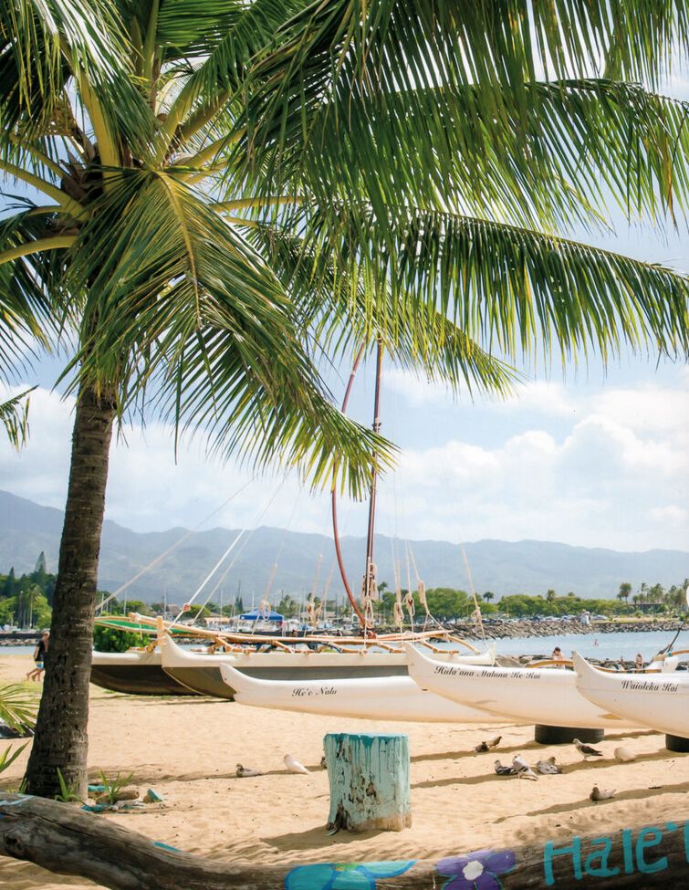 Ai Shinozaki desnuda #109740082