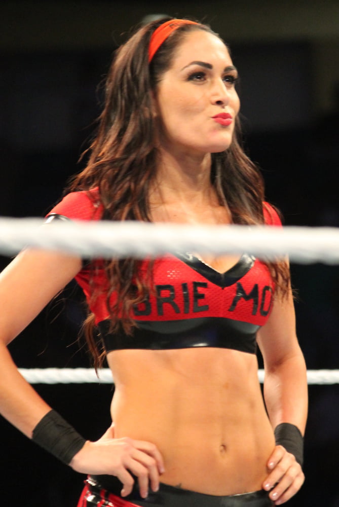 WWE Brie Bella #102755969