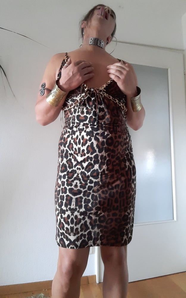 Tygra slut in leopard dress for Longdick Jack. #107181047