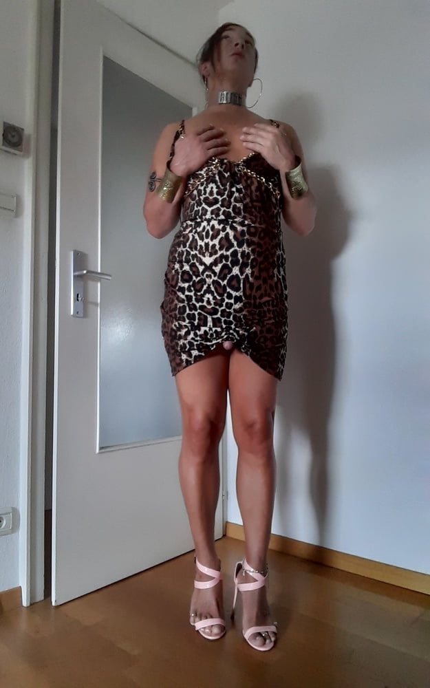 Tygra slut in leopard dress for Longdick Jack. #107181066