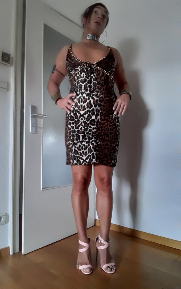 Tygra slut in leopard dress for Longdick Jack. #107181068