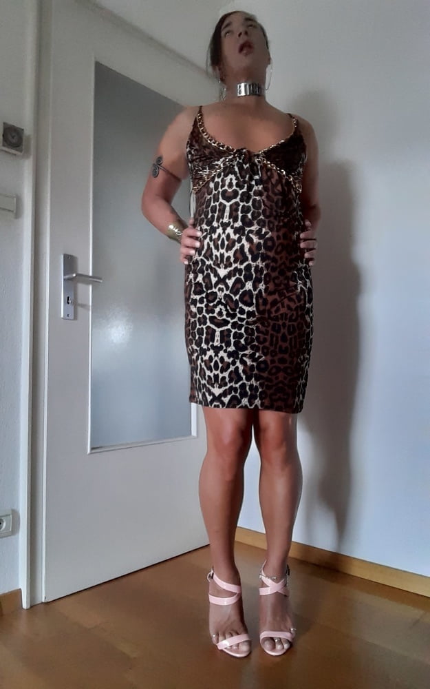 Tygra slut in leopard dress for Longdick Jack. #107181076