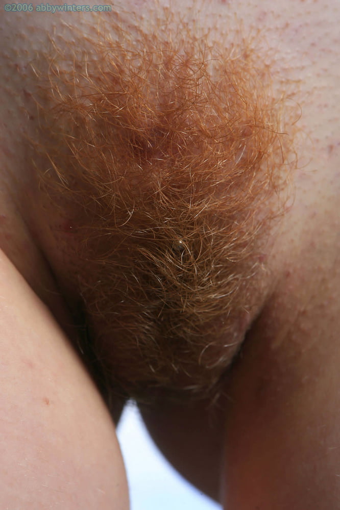 Frauen, die ich gerne ficken würde - Rothaarige
 #94426007