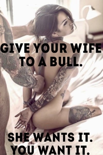 Hotwife and cuckold captions #105566185