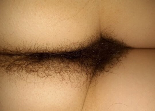 毛むくじゃらのお尻と宝の持ち腐れ
 #105160507