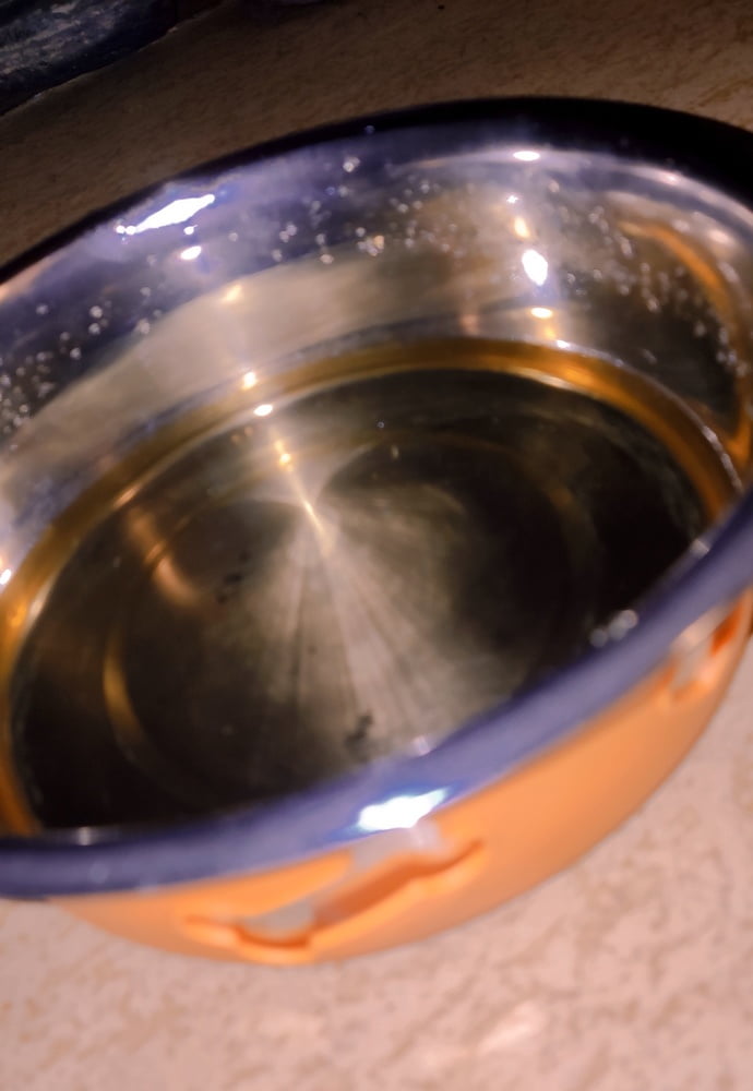 puppy drinks his own piss #107036657