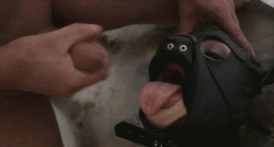 Using your slave #80751508
