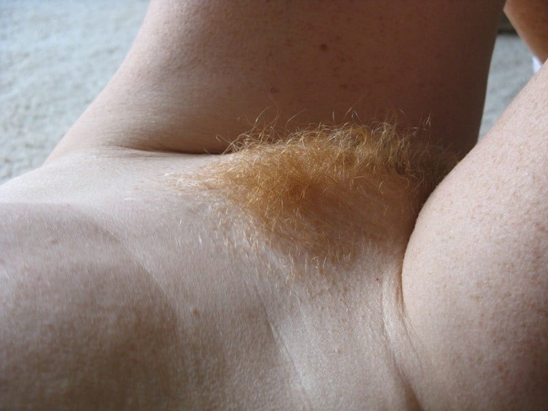 BEST of Orange, red, brown, ginger &amp; blonde Pubic Hair #6 #104977142