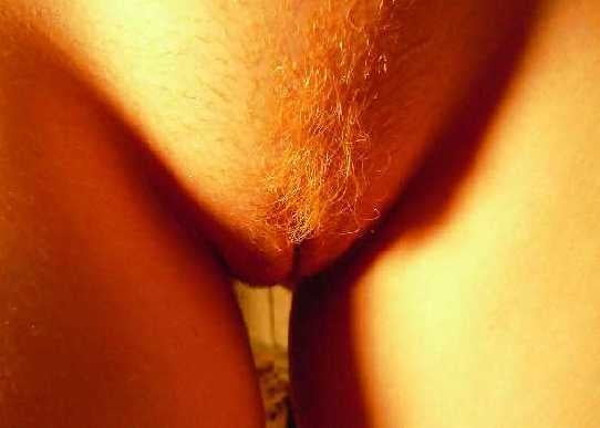 BEST of Orange, red, brown, ginger &amp; blonde Pubic Hair #6 #104977270