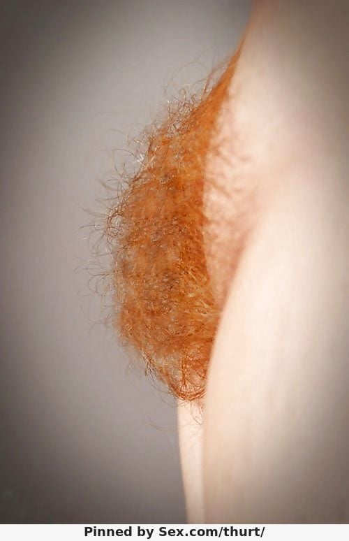 BEST of Orange, red, brown, ginger &amp; blonde Pubic Hair #6 #104977352
