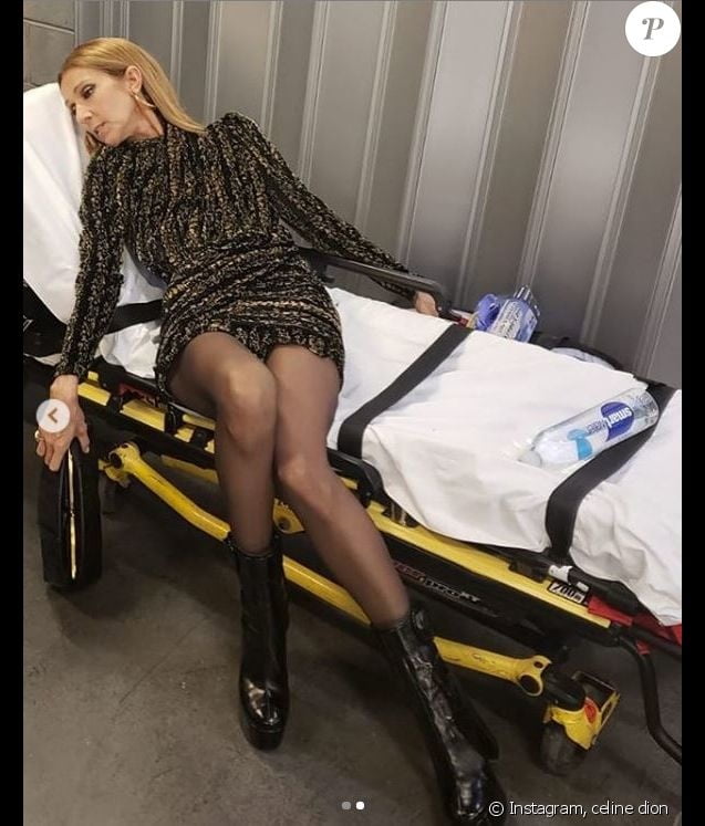 Celine dion piernas por días
 #90575070