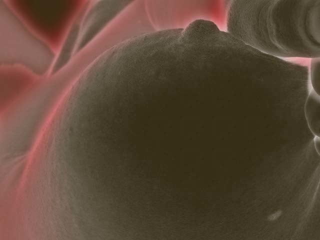 From Outerspace... #93506461