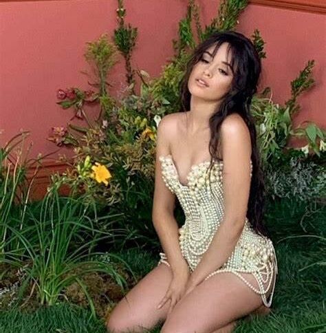 Camila Cabello nude #107942236