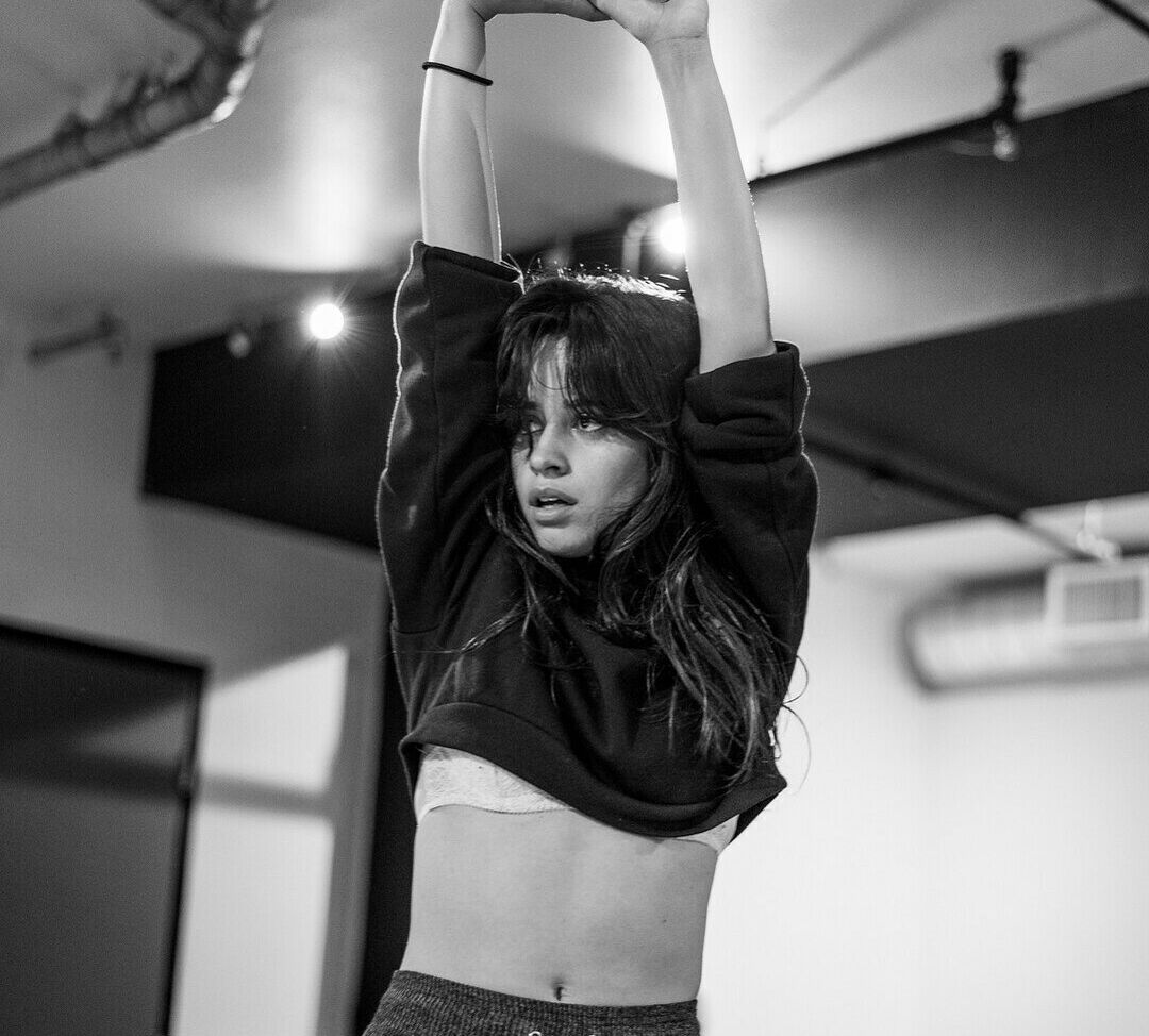 Camila Cabello nude #107942330