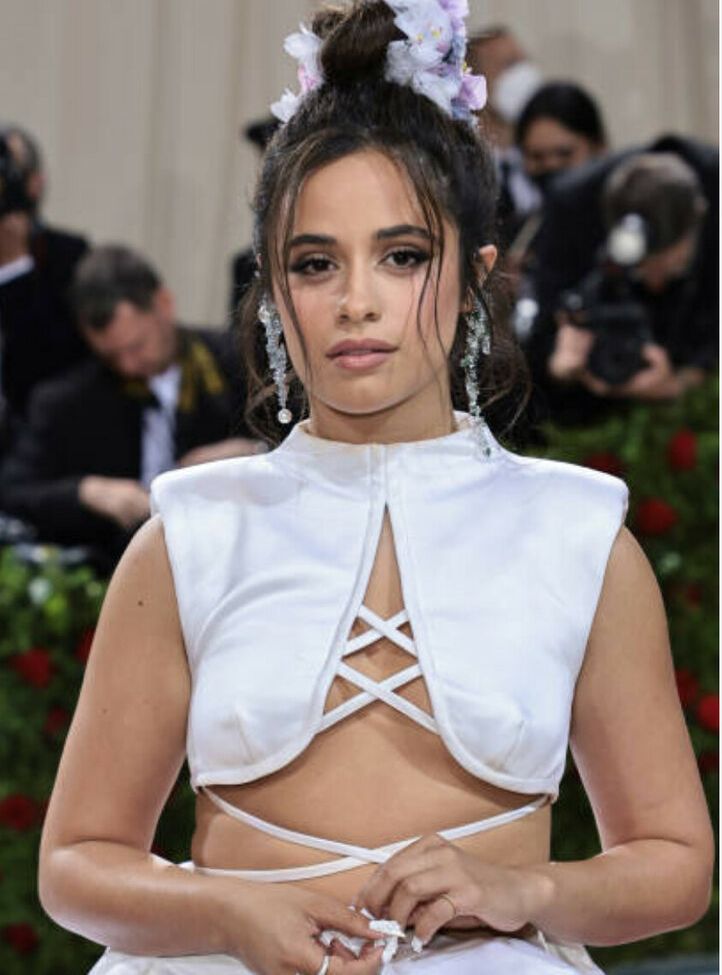 Camila Cabello nude #107942807