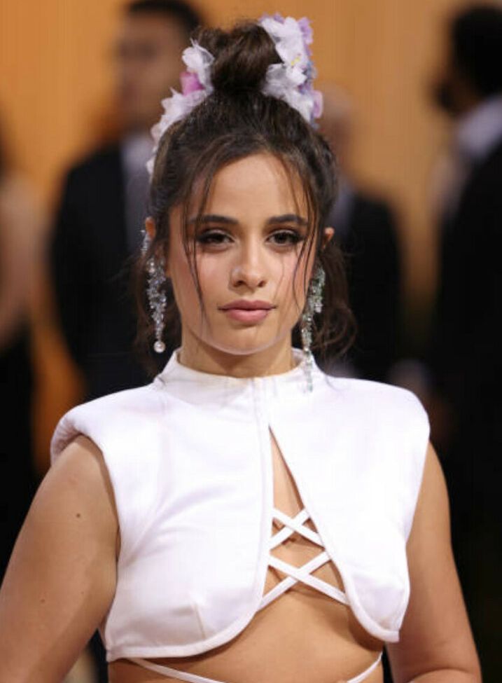 Camila Cabello nude #107942813