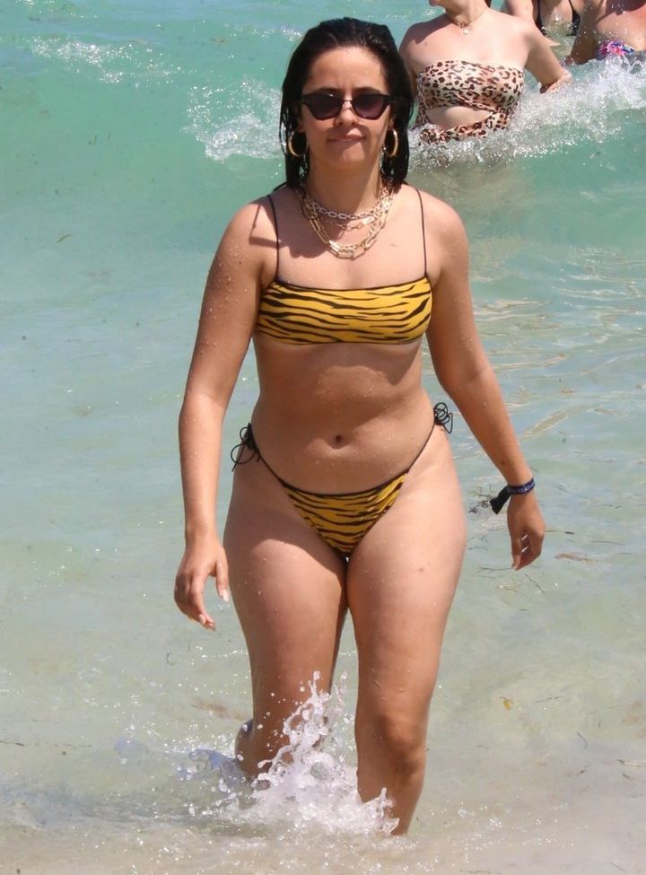 Camila Cabello nude #107942957