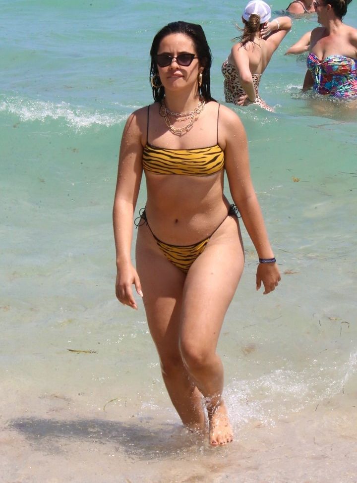 Camila Cabello nude #107942959