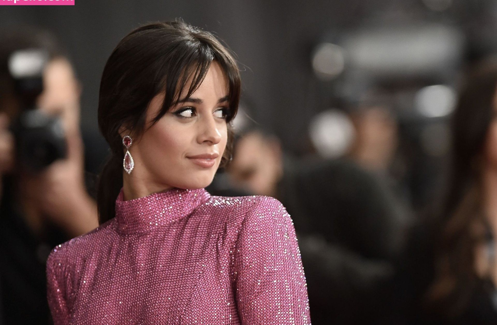 Camila Cabello desnuda #107943008