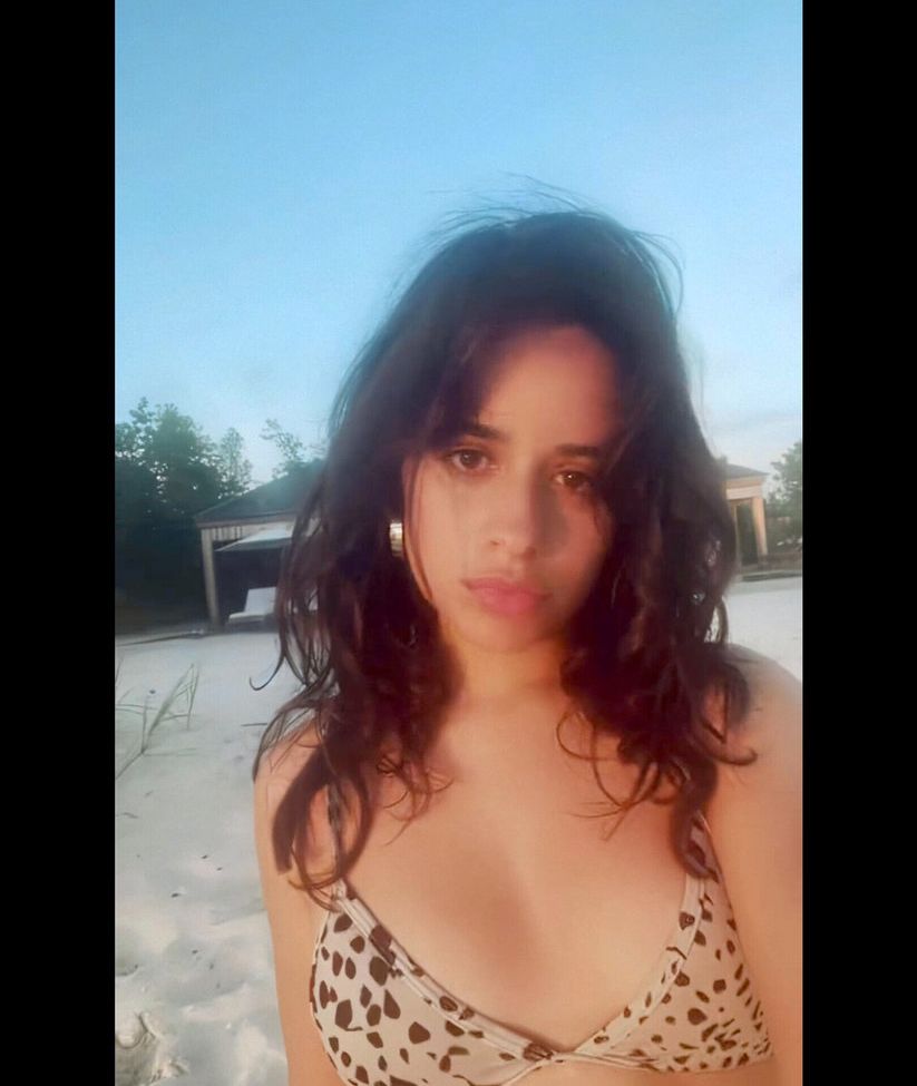 Camila Cabello nude #107943035