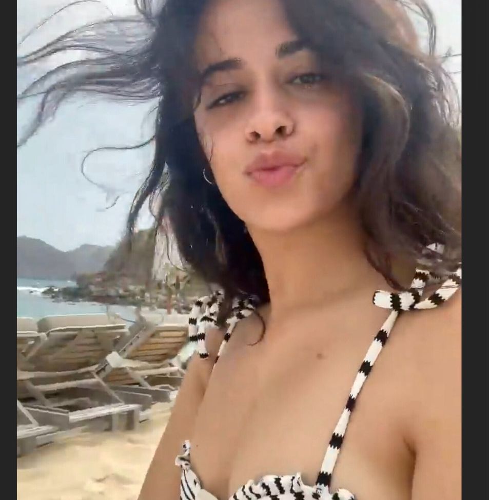 Camila Cabello nude #107943036