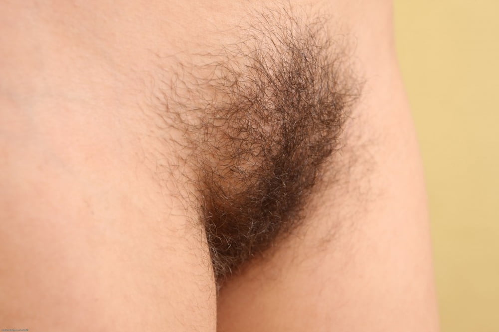 綺麗で毛深い
 #90010144