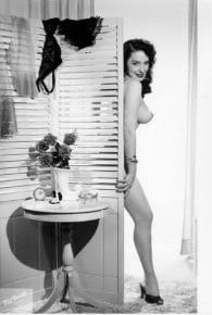 Vintage Strippers #82119288