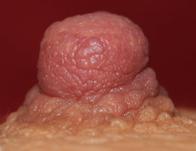 Photoshots
 #92389694