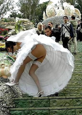 Aquí se corre la novia
 #104154398