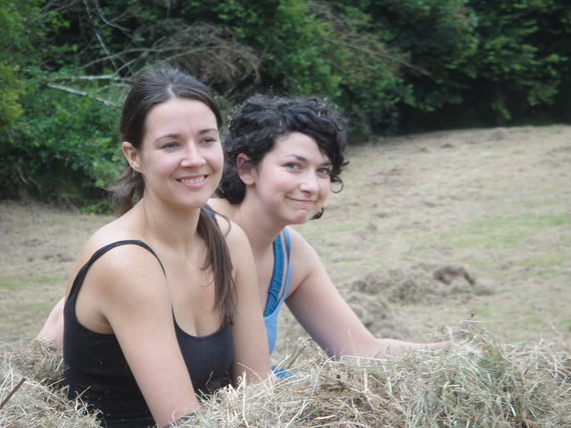 Devonshire dumplings #92883029