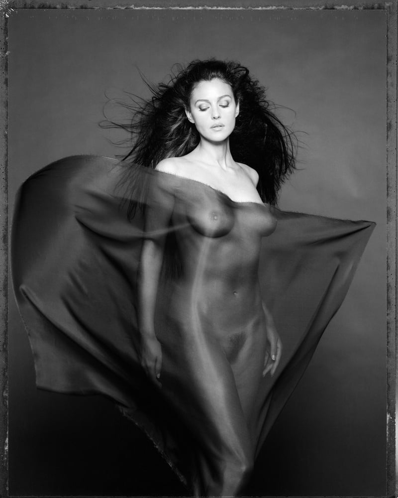 私の華麗なるモニカ--ベルッチとチマ
 #91521897