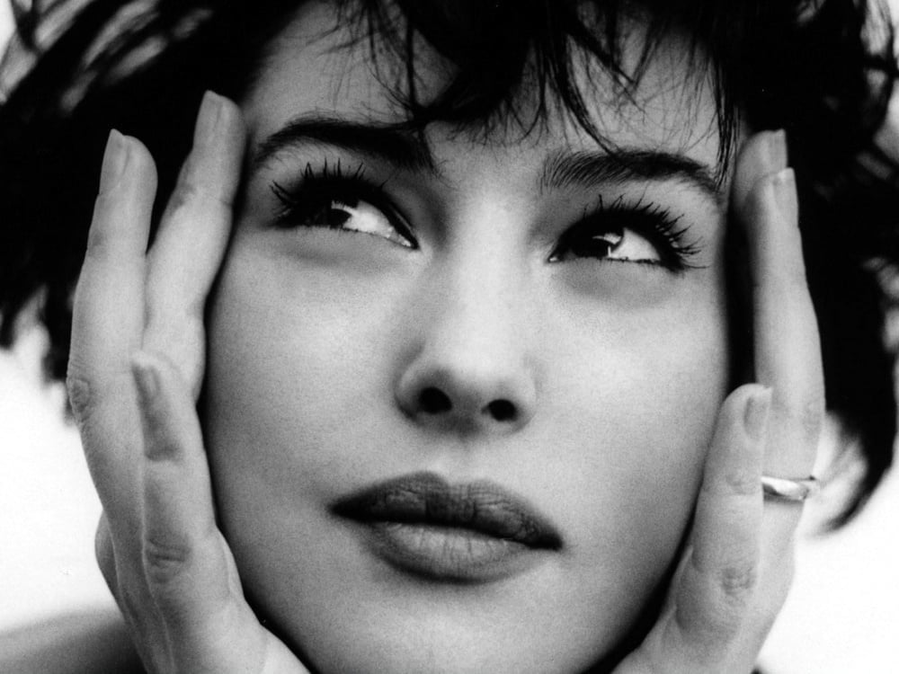 私の華麗なるモニカ--ベルッチとチマ
 #91522583